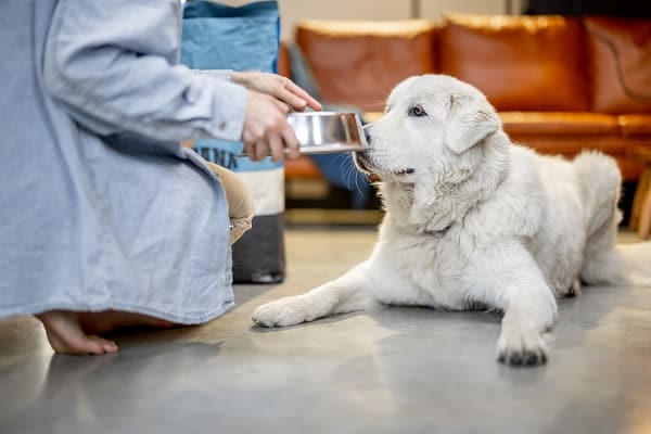 Someone Else's House