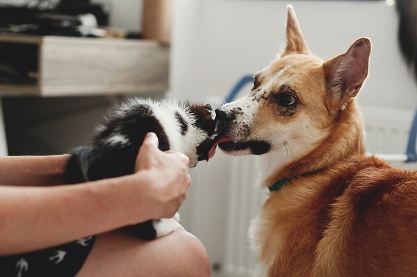 Someone Else's House