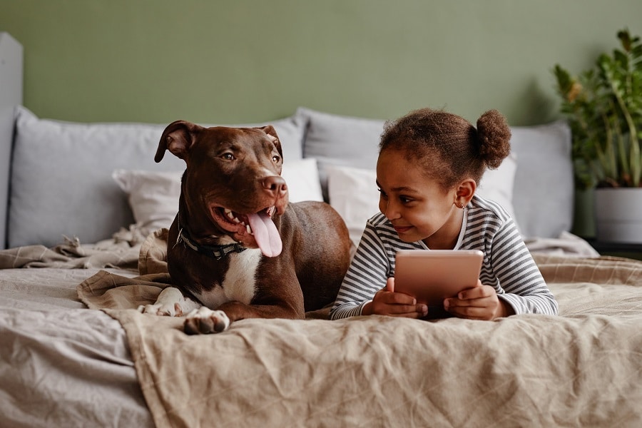 Dog Breeds For Kids