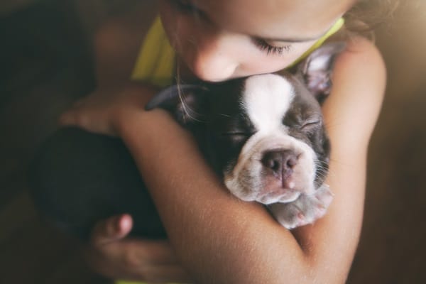 Dog Breeds For Kids