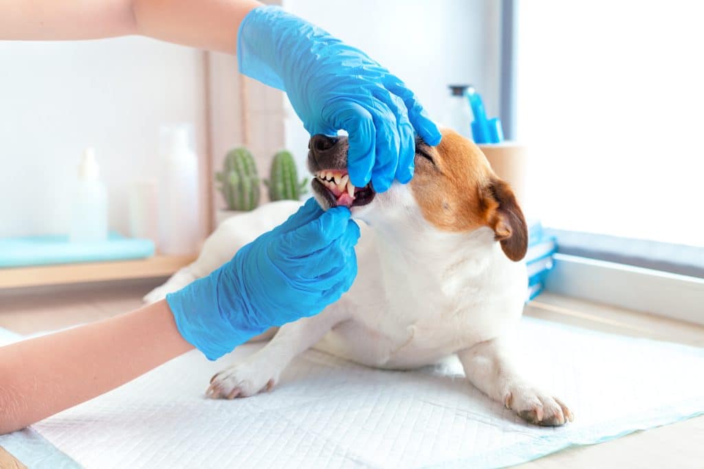 Check-Ups