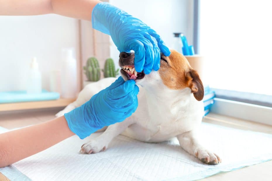 Check-Ups