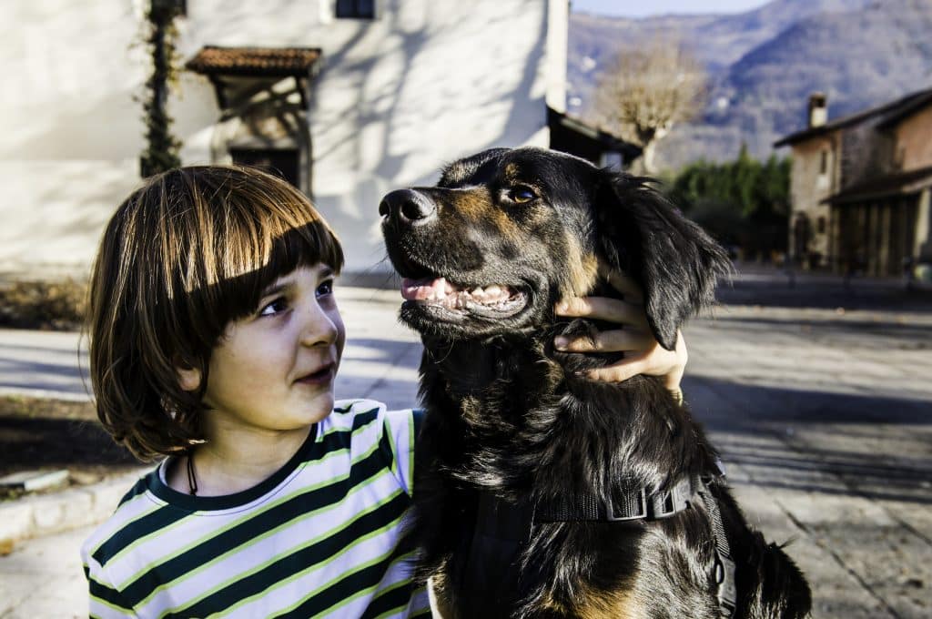 a Pet