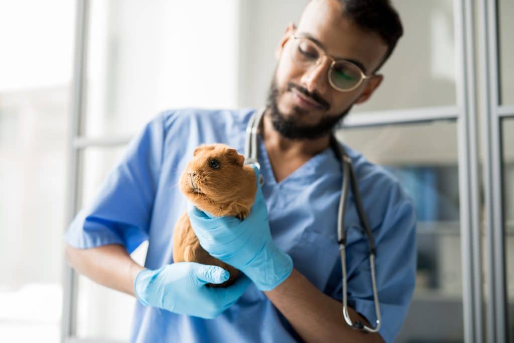 Check-Ups