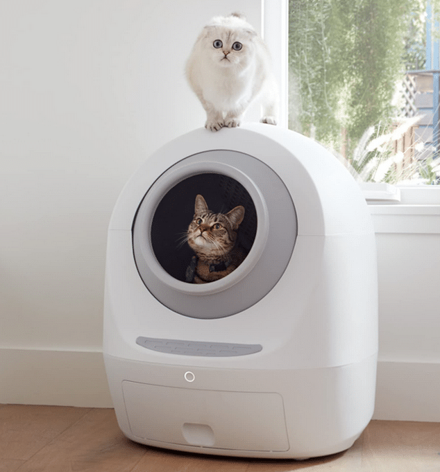 Litter Boxes