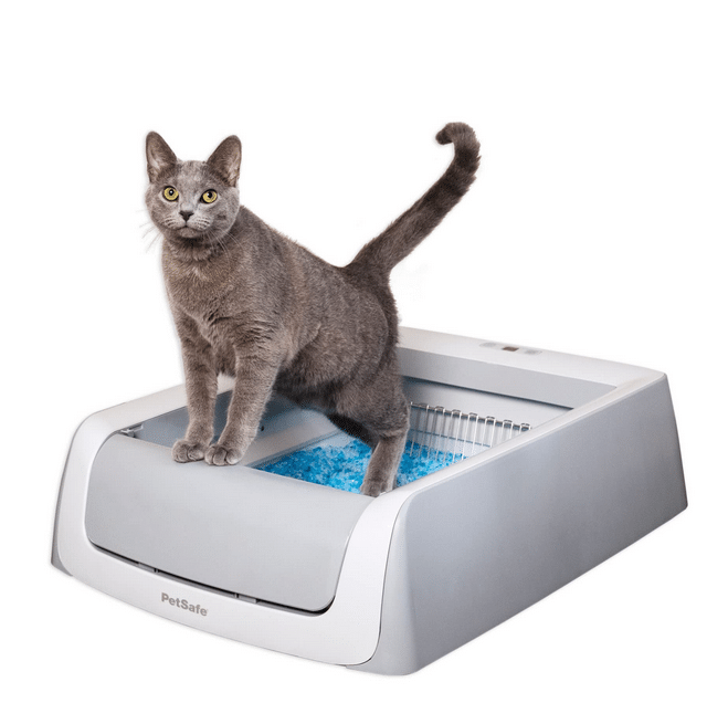 Litter Boxes
