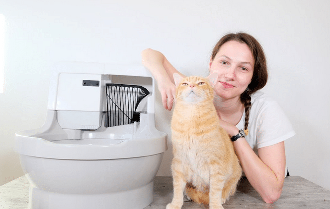 Litter Boxes