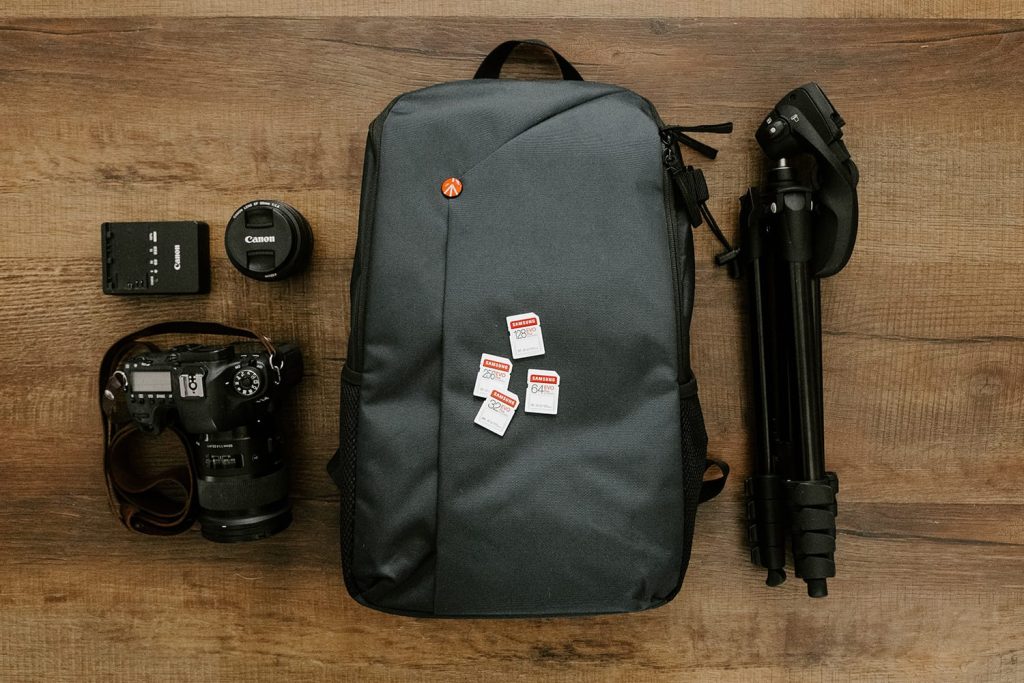 How To Photograph Your Pet Like A Pro