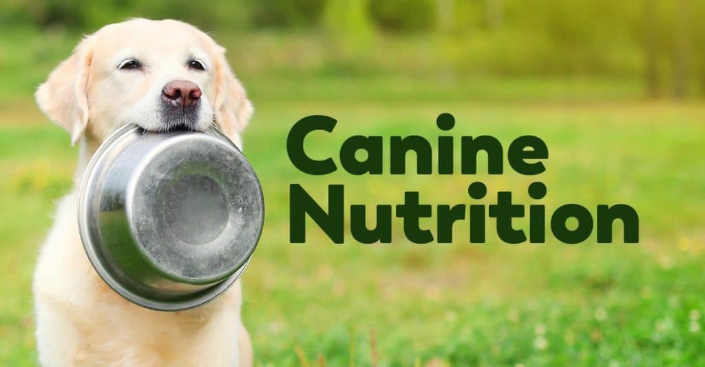 The Canine Kitchen: Homemade Dog Food Recipes
