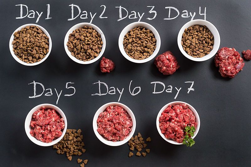 The Canine Kitchen: Homemade Dog Food Recipes