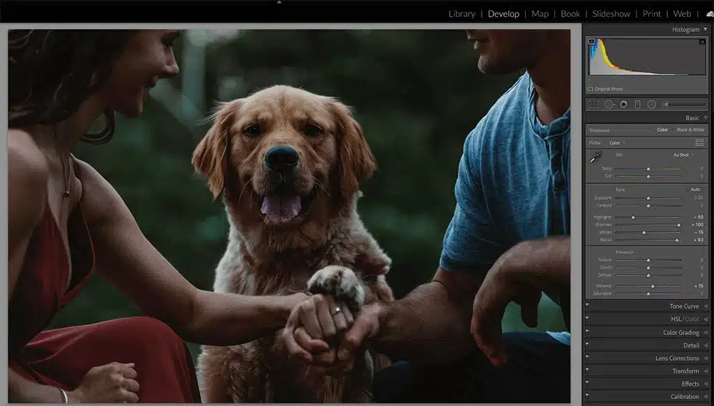 How To Photograph Your Pet Like A Pro