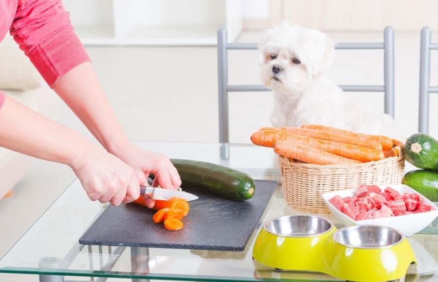 The Canine Kitchen: Homemade Dog Food Recipes