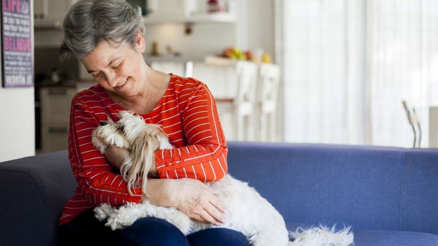 Comforting A Dog In Distress