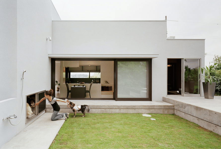 Pet-Friendly Home Makeovers: Creating a Safe and Comfortable Space