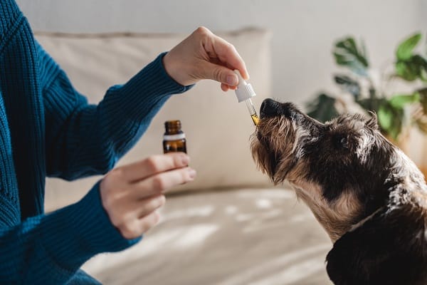 Benefits Of Fish Oil