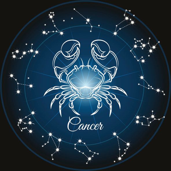 What Your Pet's Zodiac Sign Reveals About Their Personality