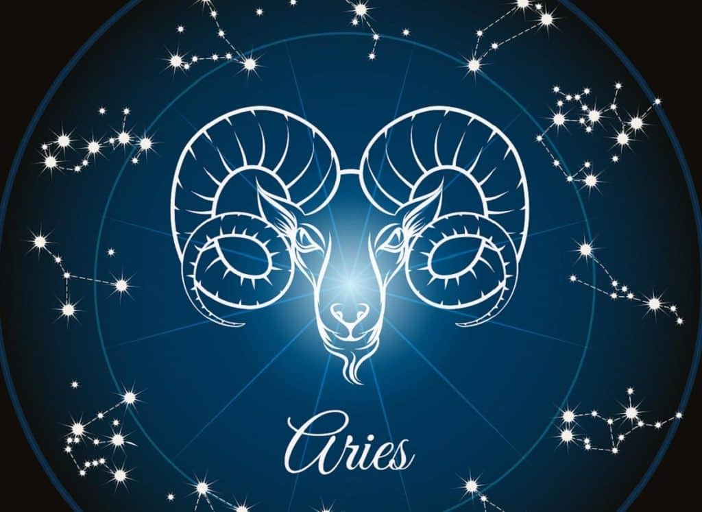 What Your Pet's Zodiac Sign Reveals About Their Personality