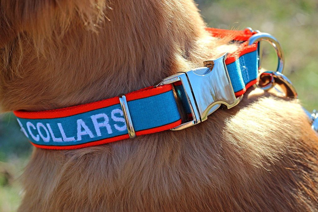 Money-Wasting Pet Products You Need to Stop Buying Now