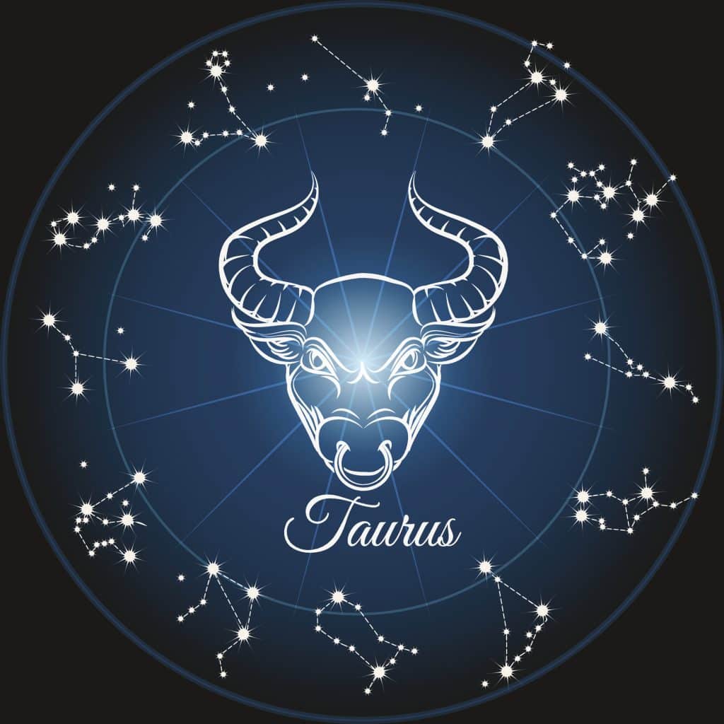 What Your Pet's Zodiac Sign Reveals About Their Personality