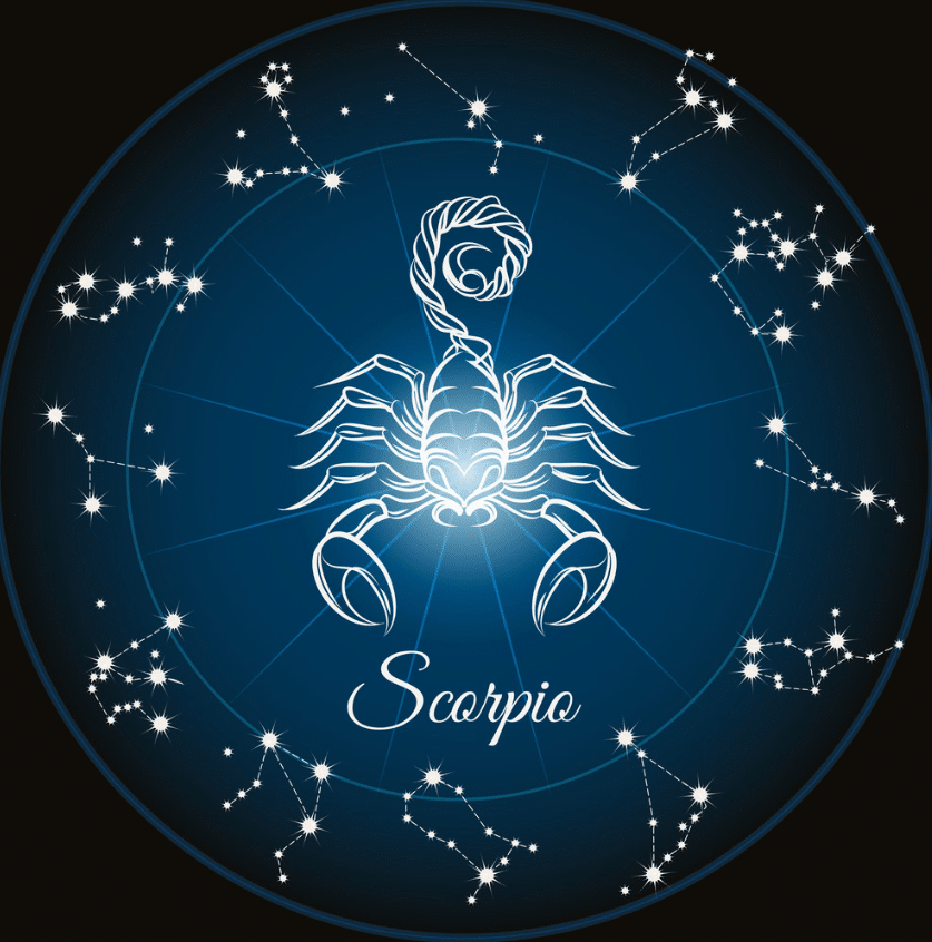 What Your Pet's Zodiac Sign Reveals About Their Personality