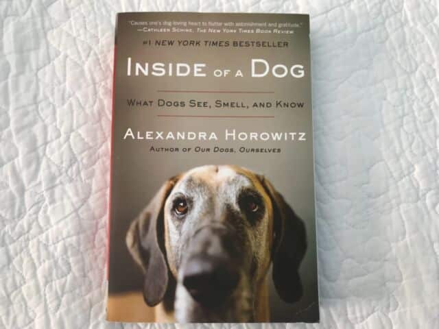Pet Behavioral Books You Can't Afford to Miss