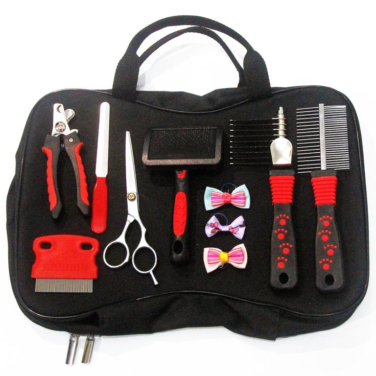 Essential Dog Grooming Techniques