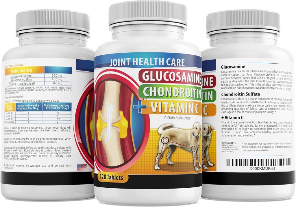 Managing Canine Arthritis For A Pain-Free Life