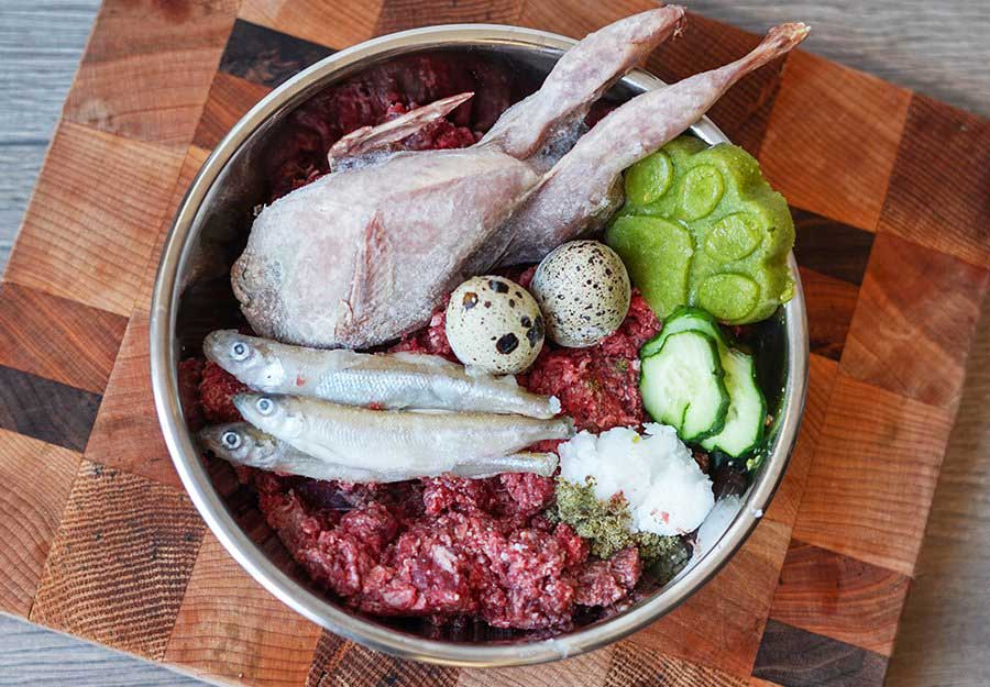 Canine Cuisine: Exploring Dog Diet Trends