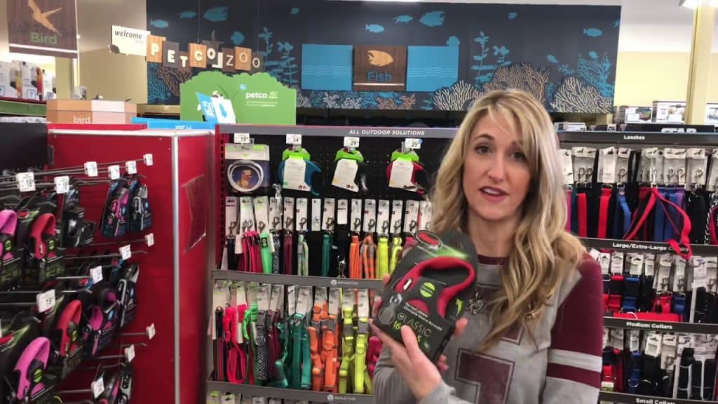 Harnesses vs Collars: The Shocking Truth for Dog Owners