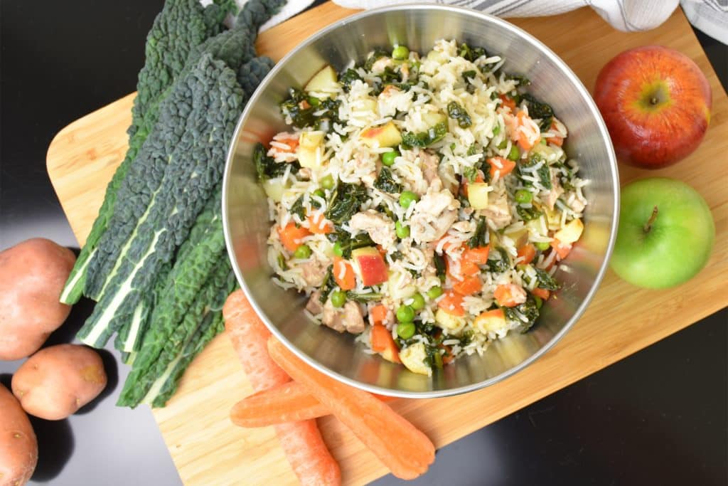 Canine Cuisine: Exploring Dog Diet Trends