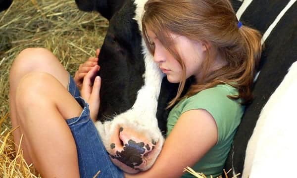 Can Pets Truly Understand Human Emotions?