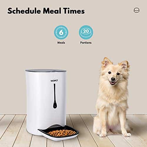 How Does Your Pet's Diet Influence Their Behavior?