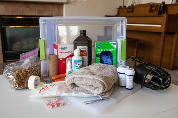 How To Assemble a Dog First Aid Kit
