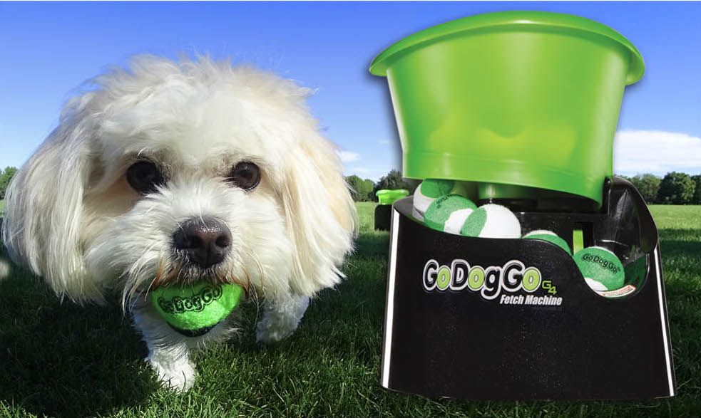 The Best Pet Tech Gadgets Of The Year