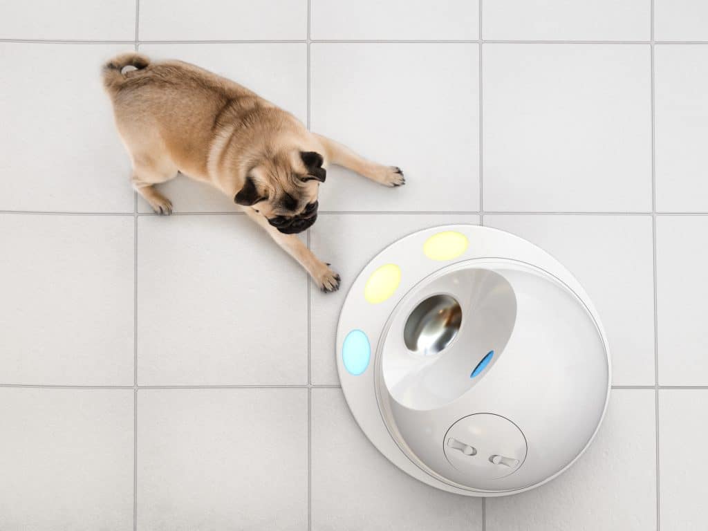 The Best Pet Tech Gadgets Of The Year