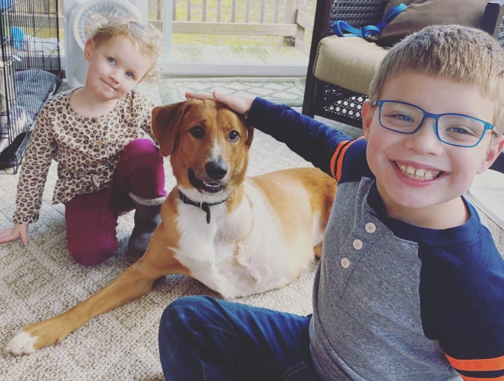 Coping With The Challenges Of A Disabled Pet