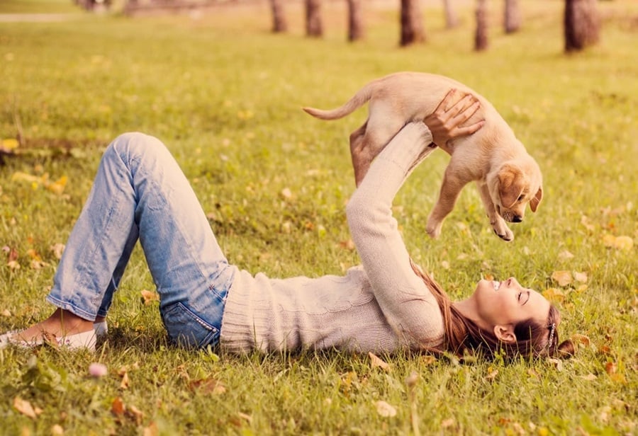 8 Must-Have Products for New Dog Owners