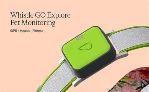 8 Must-Have Products for New Dog Owners