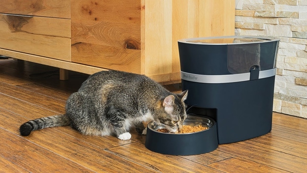 The Best Pet Tech Gadgets Of The Year