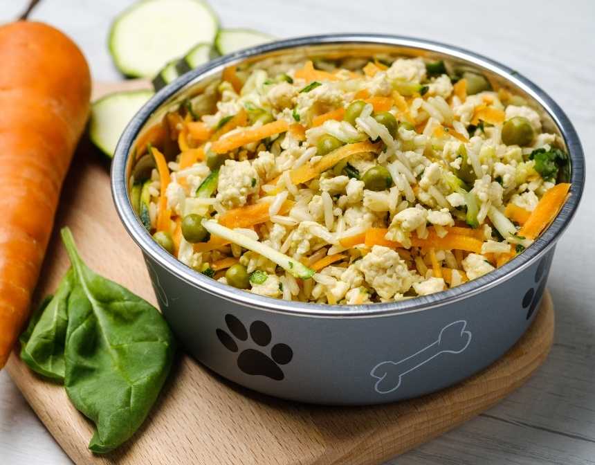 Planning Your Pet's Diet: A Nutritional Framework