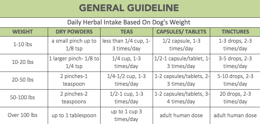 The Benefits of Ginger for Dogs