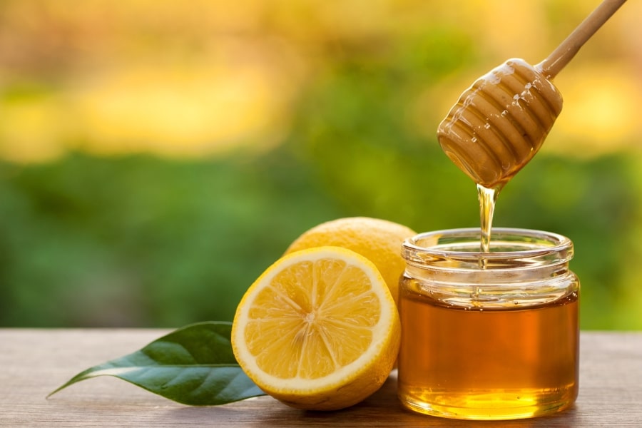 Harnessing the Healing Power of Honey for Canine Care