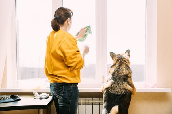 Are Your Cleaning Supplies Poisoning Your Pet?