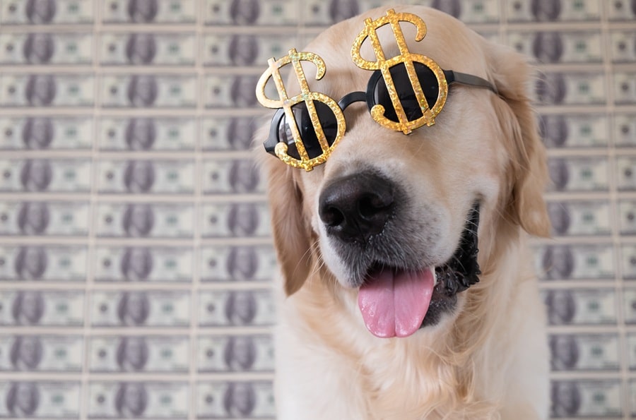 Expensive Dog Breeds